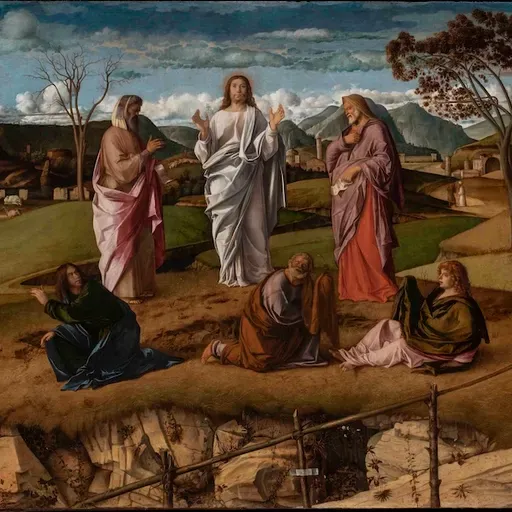 'Now We See in a Mirror Dimly'