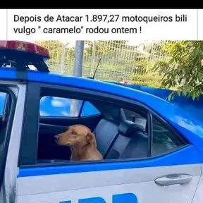 Nogueira
