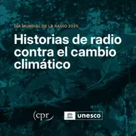 DMR 2025 / Red Cumare (Colombia-Venezuela)