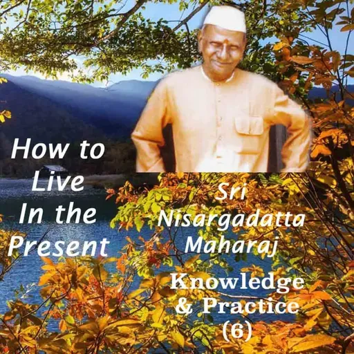 Nisargadatta Maharaj~Knowledge & Practice(6)~How To Live In The Present, To Accept & Flow With Life?