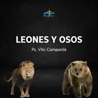 Leones y Osos