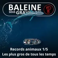 S07E144 Vous avez dit bizarre ? Records 1/5 : Les plus gros animaux de tous les temps