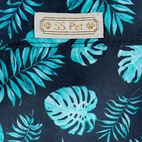 super sucesso radio web