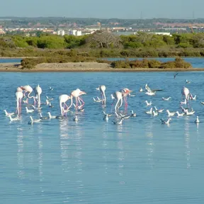 Las Salinas de San Pedro