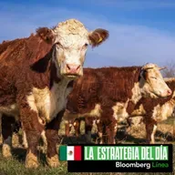 Pesadilla en forma de gusano, Canadá, las tasas y el precio del café 