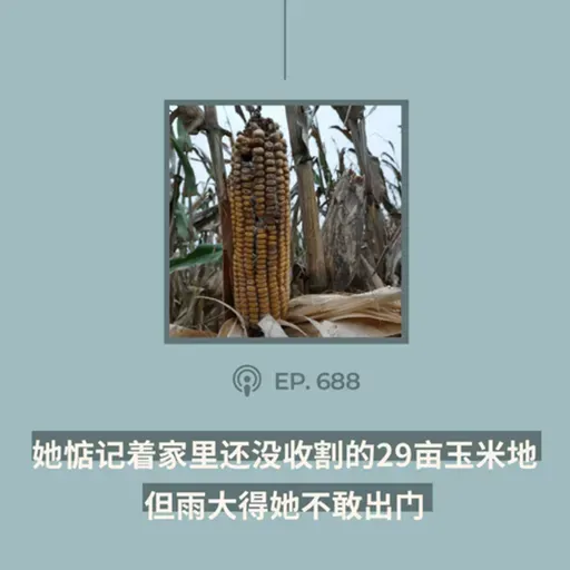 【第688期】404文库:“她惦记着家里还没收割的29亩玉米地,但雨大得她不敢出门”(外二篇)