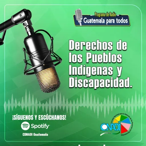"Derechos de los Pueblos Indígenas y Discapacidad"