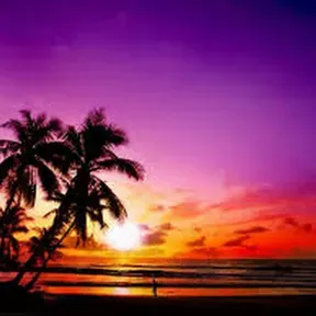 RADIO - TROPICAL HOUSE