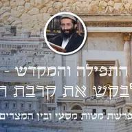 פרשת מטות מסעי ובין המצרים • התפילה והמקדש - לבקש את קרבת ה'