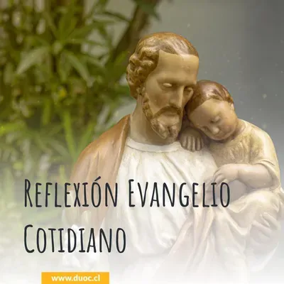 Reflexión Evangelio - Martes 23 de noviembre 2021