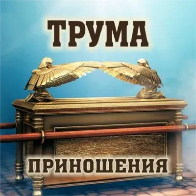 19. Трума - Шемот (Исход) 25:1-27:19