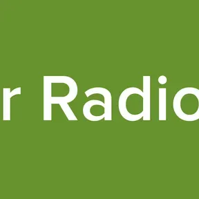 Sur Radio LI