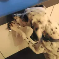 VeroL - Salir de aquí - Un café con tu voz - 30012020