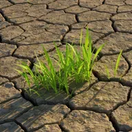 S8 Ep55: Overcoming climate agenda fatigue