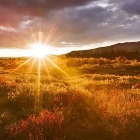 Nuevo Amanecer