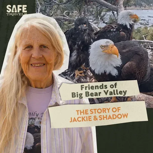 Friends of Big Bear Valley: The Story of Jackie & Shadow with Sandy Steers