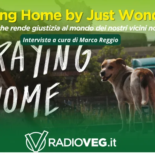 Straying Home by Just Wondering