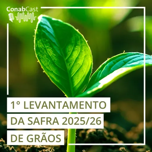 Primeiro levantamento da Conab aponta para uma colheita de 354,7 milhões de toneladas de grãos na safra 2025/26