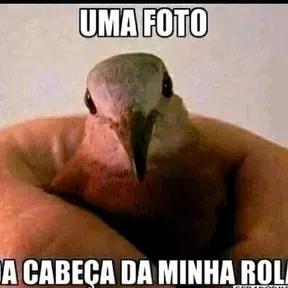 MELHORSS
