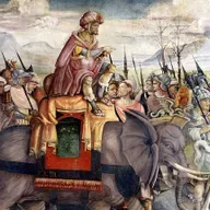 Fund af mystisk knogle kan være første fysiske bevis på Hannibals elefanter