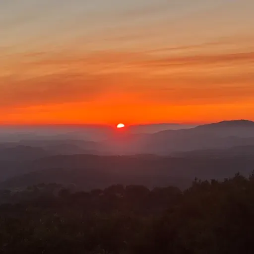 Wildfire Threats and Resilience