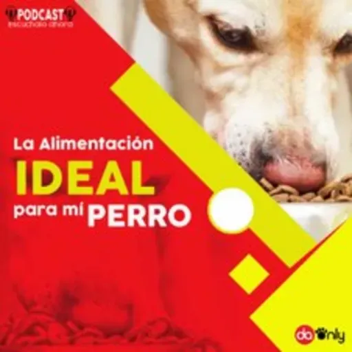 Episodio 123: La alimentación ideal para mi perro