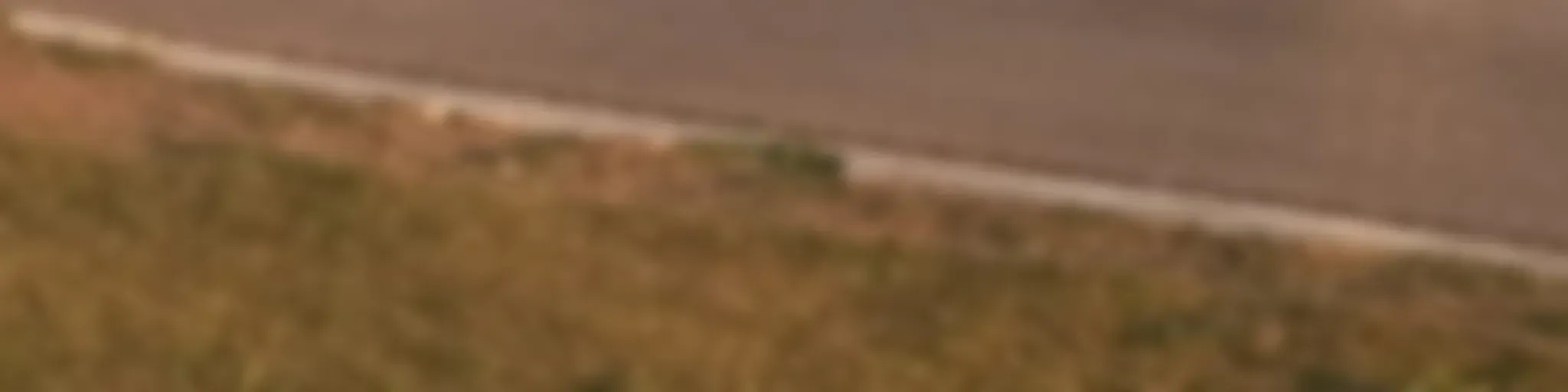 Chamem-lhe O Que Quiserem