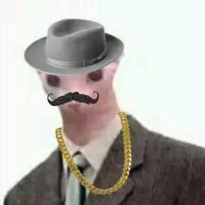 BVRSAMP