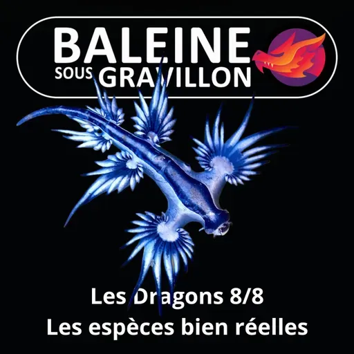 S07E17 Les Dragons 8/8 : Les espèces bien réelles (Léah Thomas-Bion)