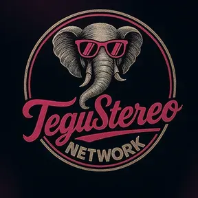 TeguStereo