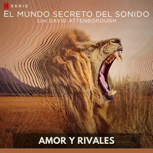 El Mundo Secreto del Sonido - Amor y Rivales