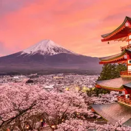 Japanese Styles
