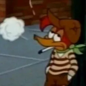Joker hahs