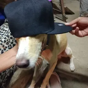 Luarradio