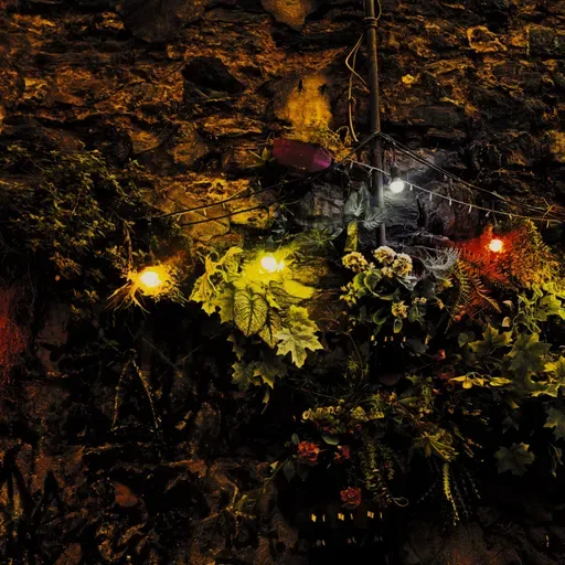 #340. Mektûba Guhdar Zerrîzîz û Cewabeka Saet Çendê Şevê