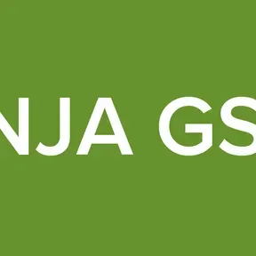 NINJA GSTZ