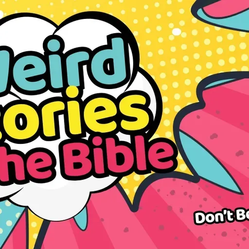 Don't Be a...Donkey (Audio)