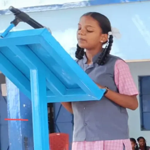 விருந்தாளி - மரிய எவாஞ்ஜெலின் ச