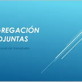 Cong. Las Adjuntas 2