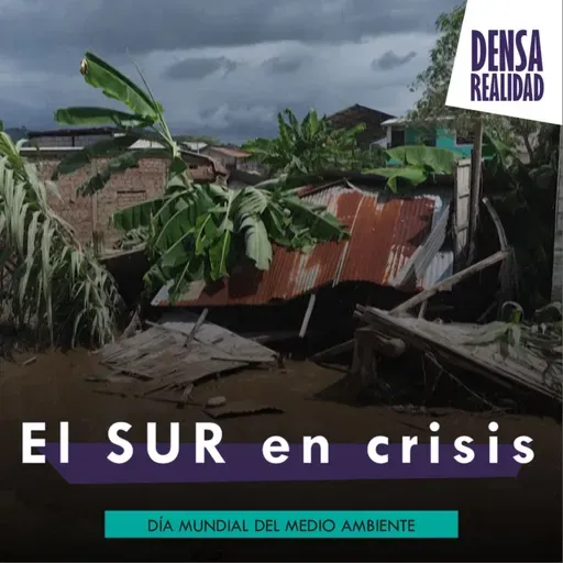 El SUR en crisis - Día mundial del medioambiente