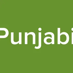 Pulse Punjabi Radio
