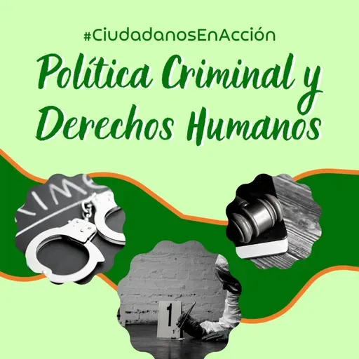 La política criminal y los Derechos Humanos