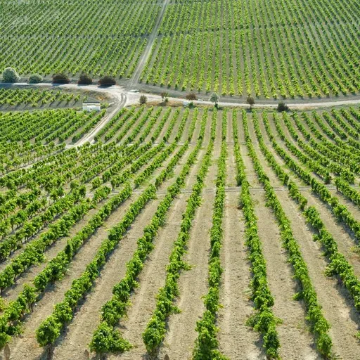 Economía en Andaluz 22 de agosto de 2025