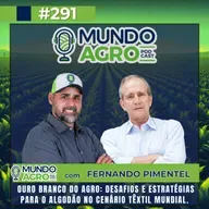 EP291 MAP “Ouro Branco do Agro: Desafios e Estratégias para o Algodão no Cenário Têxtil Mundial com Fernando Pimentel”