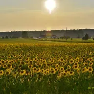 Encouragement and Prayer: A Greater Testimony! (6/5/26)