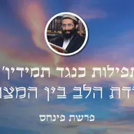 פרשת פינחס • 'תפילות כנגד תמידין' - עבודת הלב בין המצרים