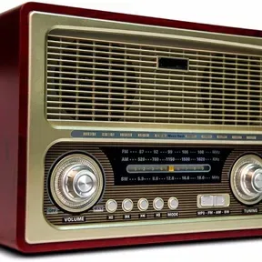 Polacowebradio