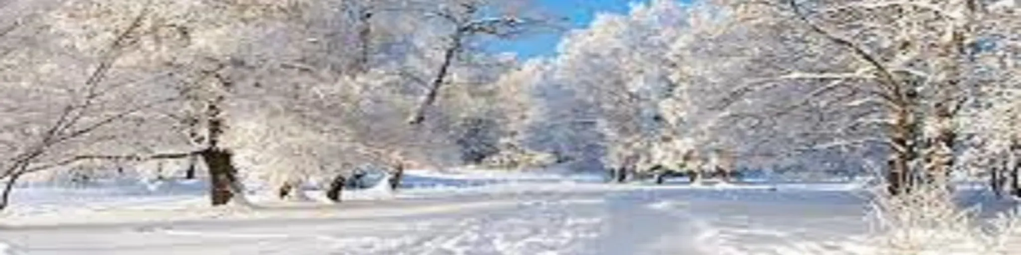 WildeCardradioChristmas