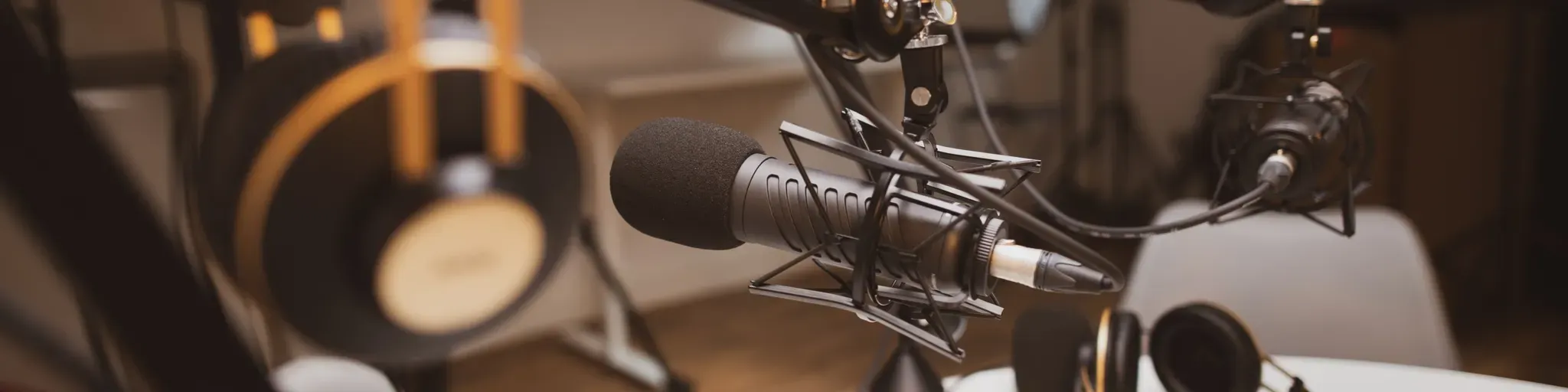 RADIO TELE VERITE