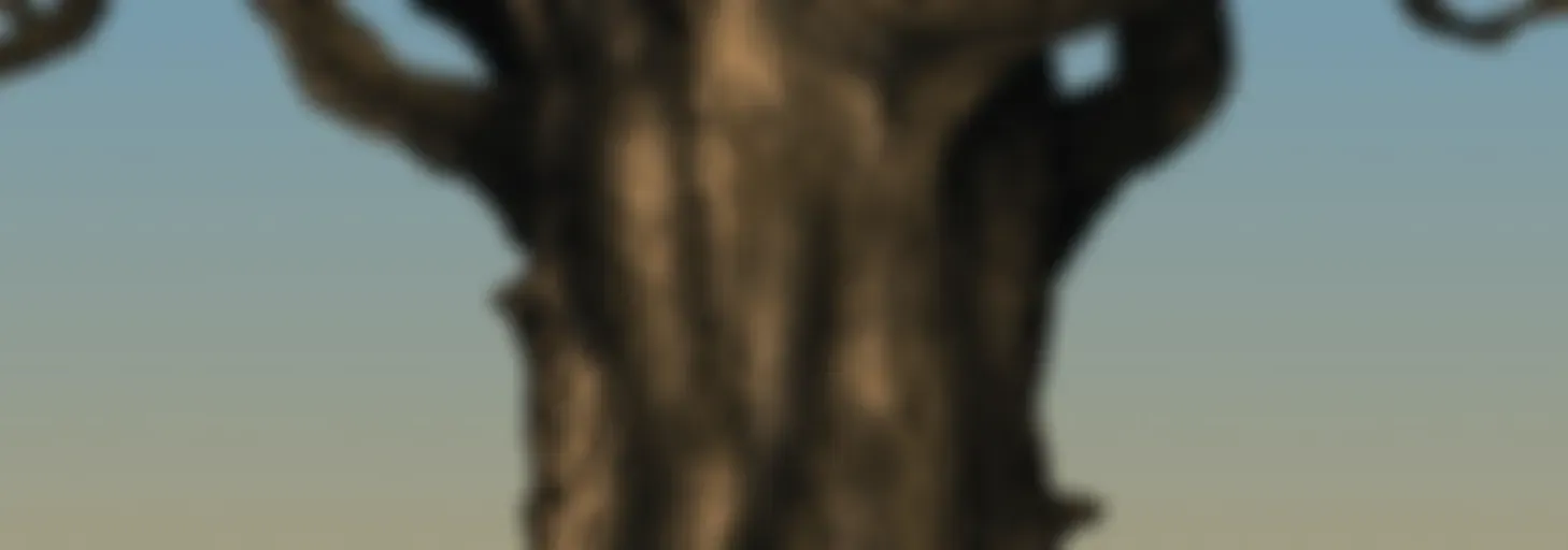 Protectors of the Wood Adventure Series